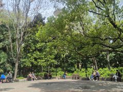 -人民公园-相亲角