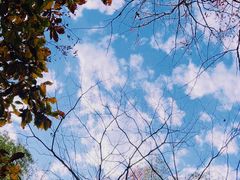 -九曜山