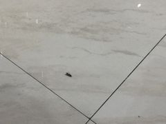 -芷江机场货运站