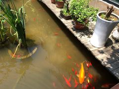 -聚缘堂·海鲜私房菜(松岭路店)