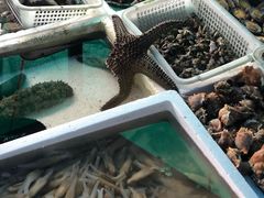 -外伶仃岛海鲜市场
