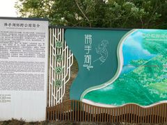 -佛手湖郊野公园