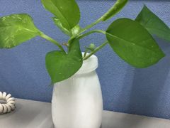 -悦河马家庭桌游剧本馆(朝阳门店)