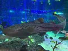 -沈阳海洋探索中心