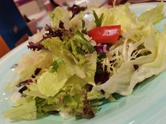 苦菊沙拉-宁邦·家宴·南京菜(红山动物园店)