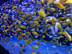 -成都浩海立方海洋公园