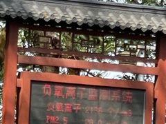 -大屏嶂森林公园