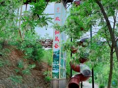 -欢乐松鼠谷