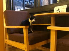 -猫的天空之城概念书店(杭州南宋御街店)