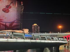 -演武大桥观景平台