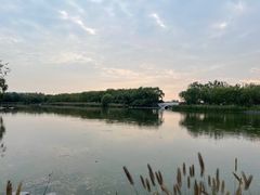 -大兴滨河森林公园