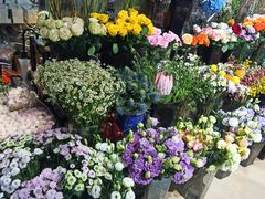 -ChaKo Flora ·茶子花艺 (市北店)