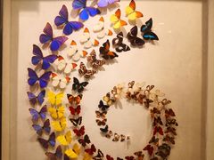 -广州白天鹅宾馆