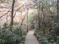 -西湖风景区-江洋畈生态公园