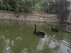 -南翠屏公园