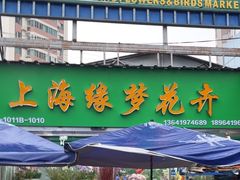 -曲阳花鸟市场(曲阳路店)