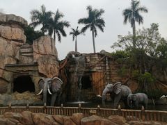 -美的鹭湖探索王国