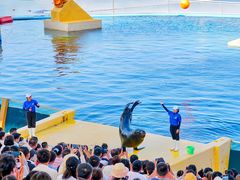 -秦皇岛乐岛海洋王国