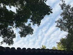 -秋霞圃