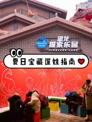 -恐龙探索乐园(磁器口店)
