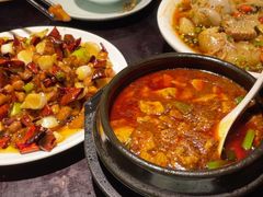 -陈麻婆豆腐总店
