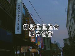 -淮河路步行街