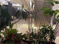 -港汇恒隆广场