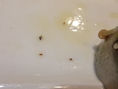 -红鼎坊·老成都火锅(新南门店)