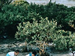 -霞山观海长廊