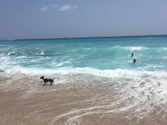 -白沙湾海滩