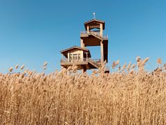 -野鸭湖国家湿地公园