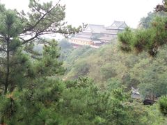 -石老人观光园