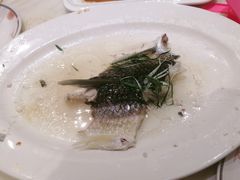 -稻香酒家·35年老字号(侨光店)