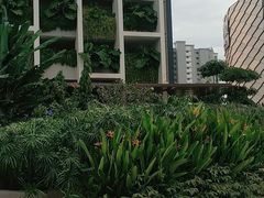 -东海岸人工湖美食村