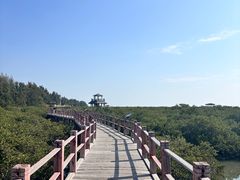 -北海金海湾红树林生态旅游区