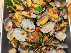 -佬肥猫(七宝宝龙店)