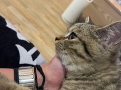 -安安宠医·臻爱宠物医院·宠保定点(营门口路分院)