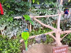 -南宫五洲植物乐园