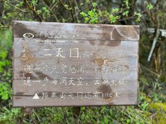 -武陵山森林公园