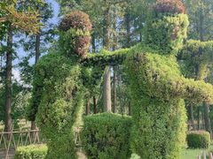 -上海长兴岛郊野公园