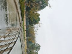 -映月湖中央公园