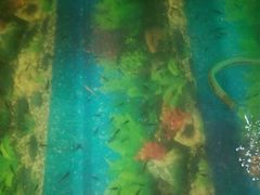 小鱼-大和洗浴休闲会所(宏大广场店)