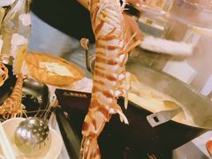 -鲜入围煮花胶鸡海鲜火锅