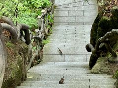 -汤旺河林海奇石景区