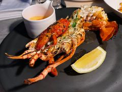 -Mercato莫卡多露台餐厅与酒吧(K11店)