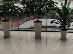 -偶屋里钵少爷(时代广场店)