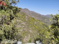 -北京鹫峰国家森林公园