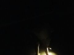 -普陀山风景名胜区-千步大沙