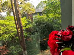 -杭州植物园