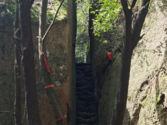-六里坪国家森林公园